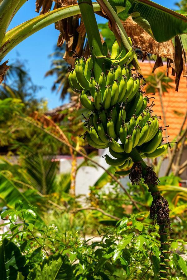 Heart Of Zanzibar Bungalows Paje Εξωτερικό φωτογραφία